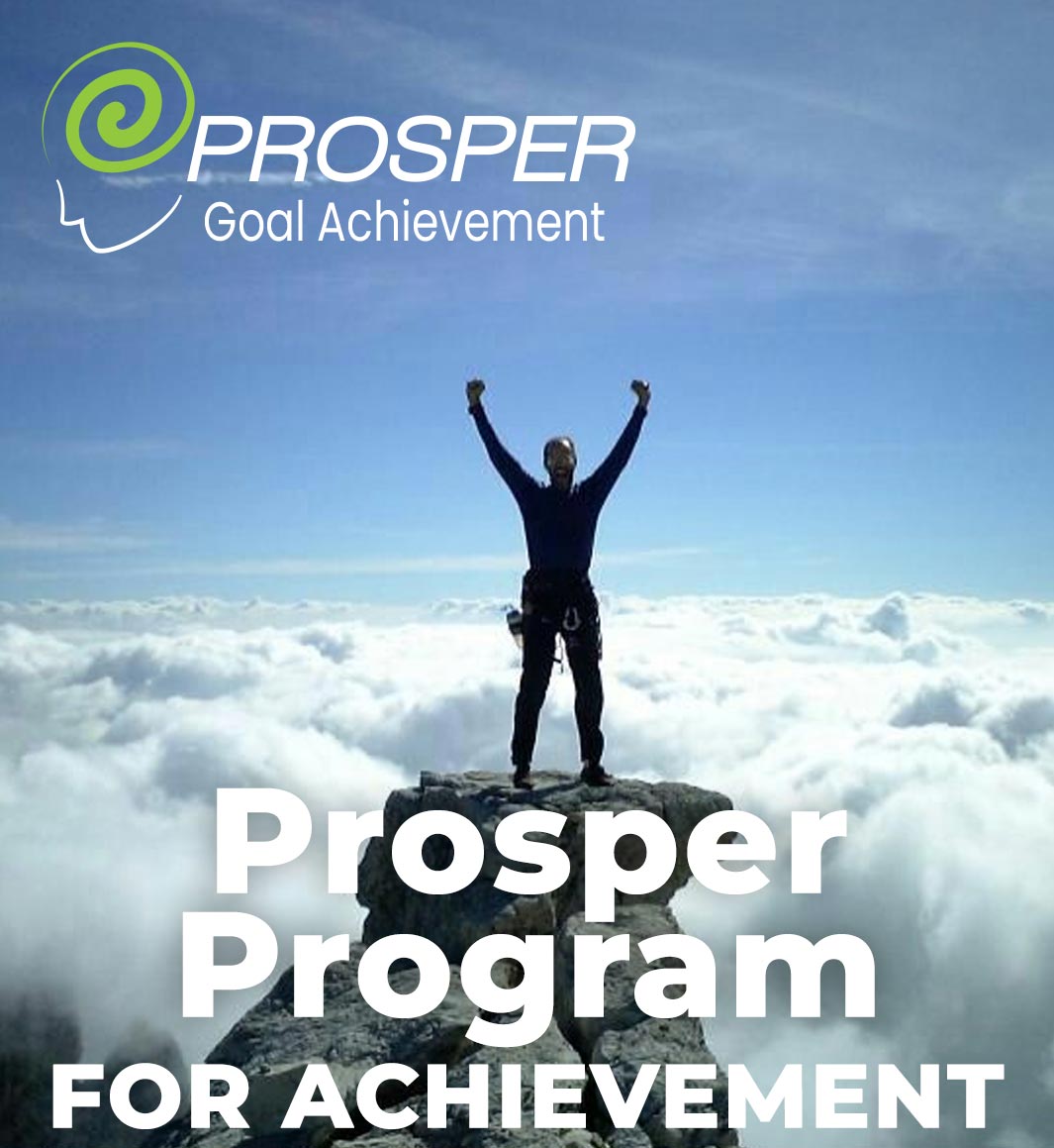 Prosper Study System + Prosper Program for Achievement - Image 2